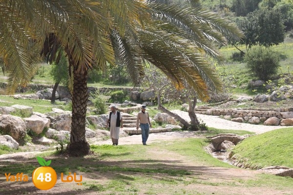 3emwas 0319 (49).JPG